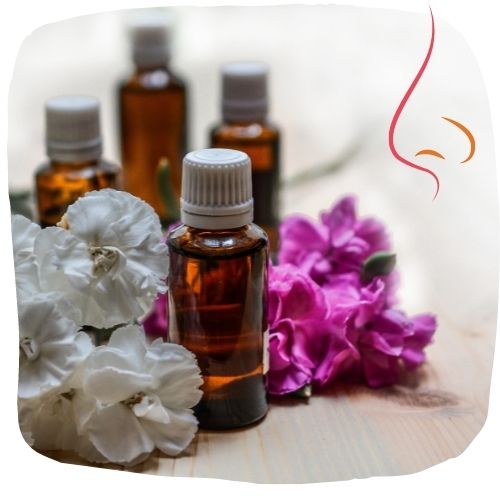 Aromathérapie, olfactologie